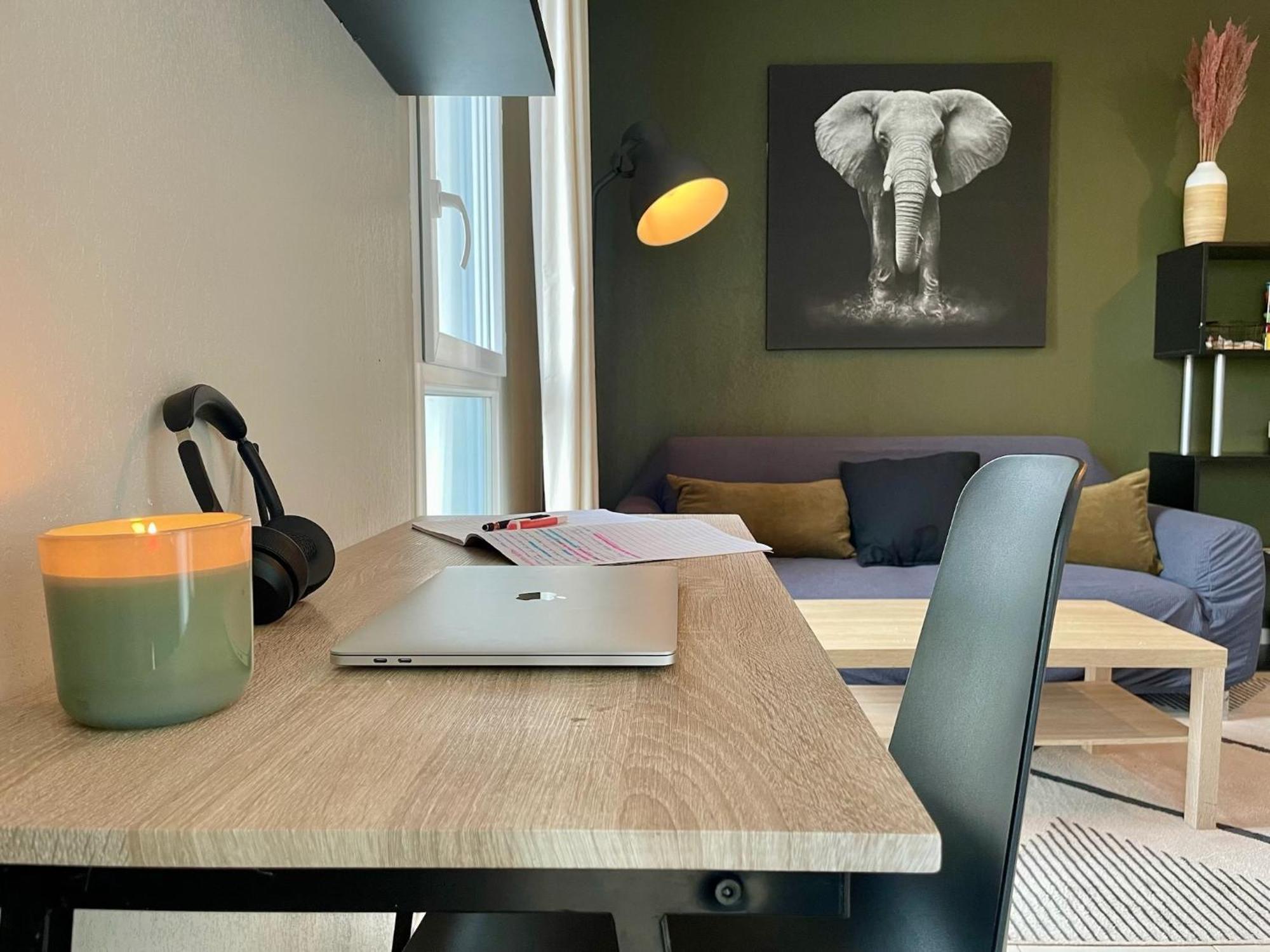 Le Colorado - Appartement Proche Airbus Colomiers Eksteriør bilde