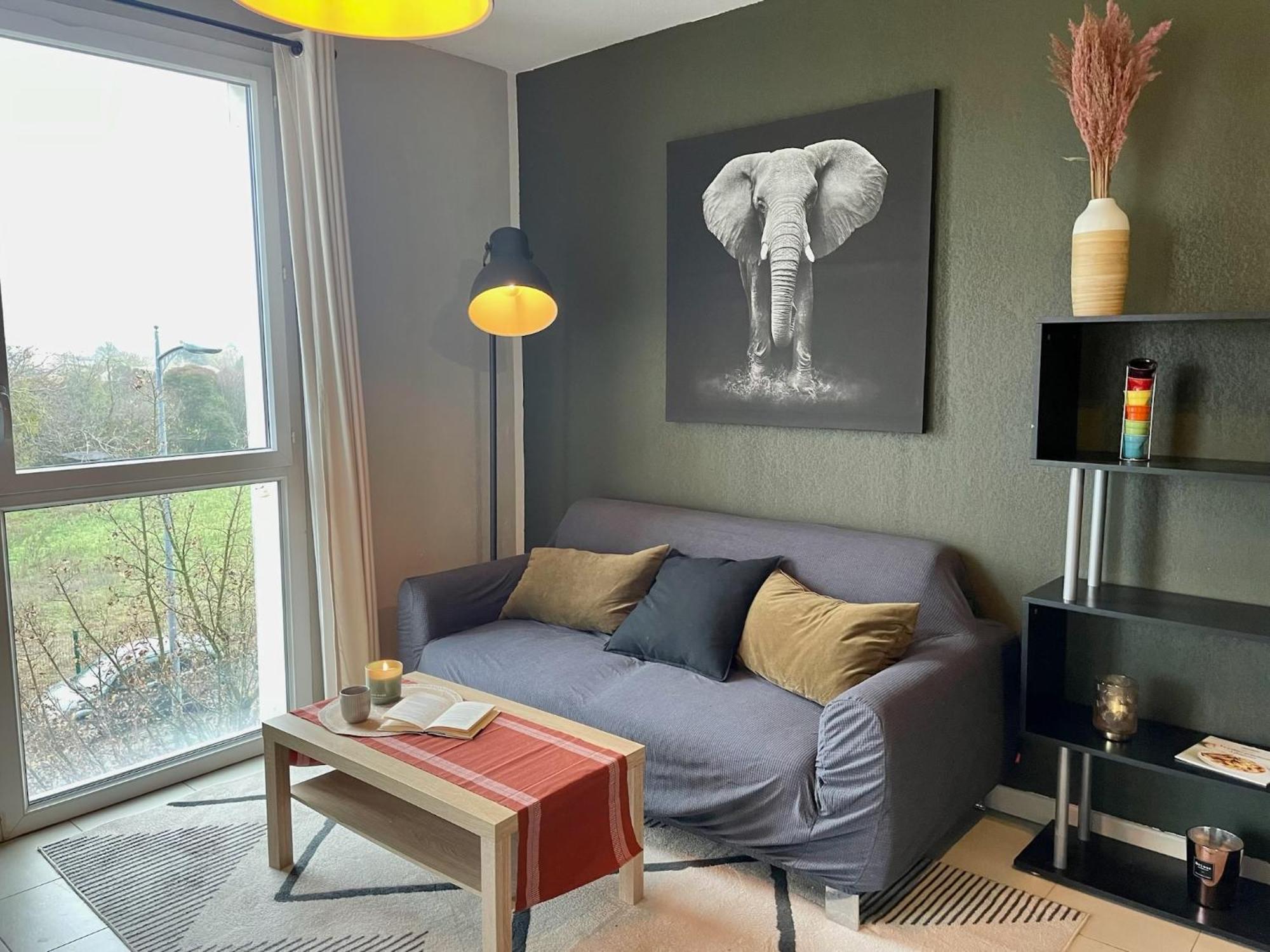 Le Colorado - Appartement Proche Airbus Colomiers Eksteriør bilde